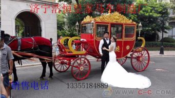浩恒马车厂 精品观光马车与多元化马车服务